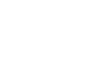 Gestión de recursos humanos