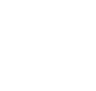 Imagen de referencia al soporte